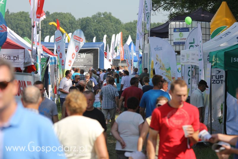  Regionalna Wystawa Zwierząt Hodowlanych W Szepietowie 2016 z Gospodarz.pl