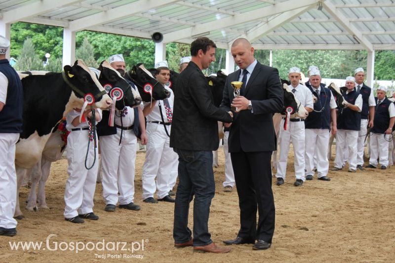 Prezentacja Championów na VII Ogólnopolskiej Wystawie Bydła Hodowlanego w Sielinku 2012
