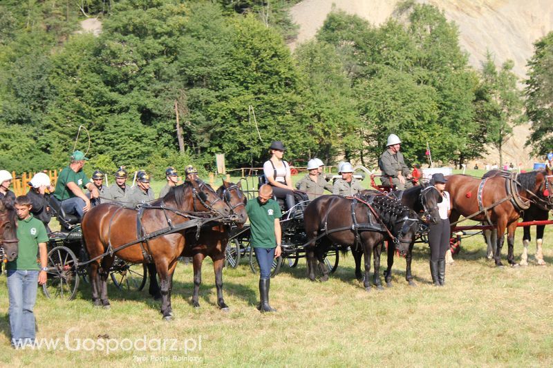 Pokazy konne i wręczenie nagród w Rudawce Rymanowskiej