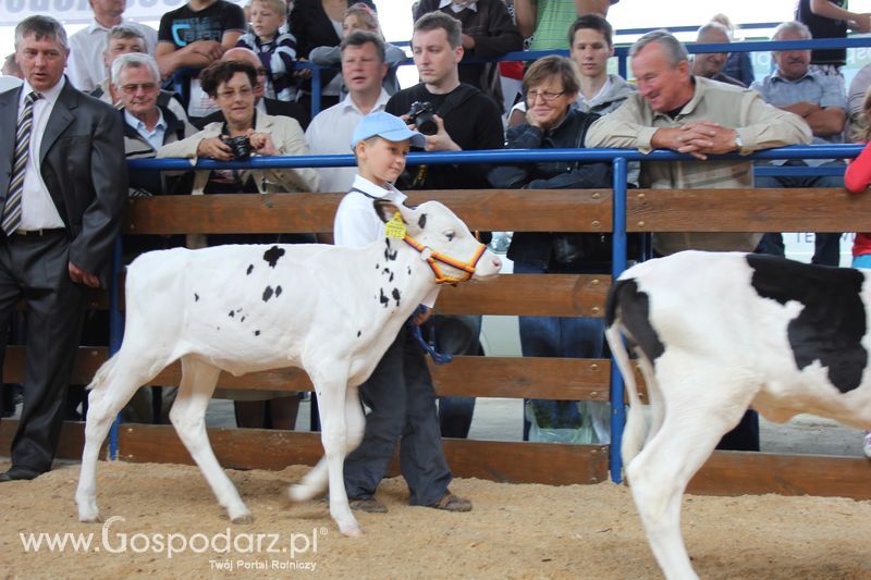 Młody hodowca na XVIII Regionalnej Wystawie Zwierząt Hodowlanych w Szepietowie