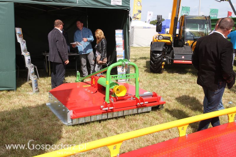 Zielone AGRO SHOW - Polskie Zboża 2015 w Sielinku