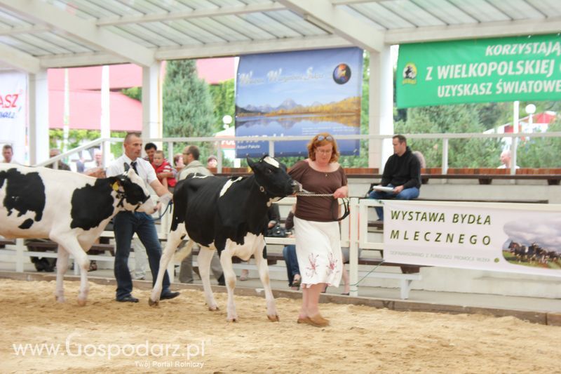 Wystawa bydła Sielinko 2011