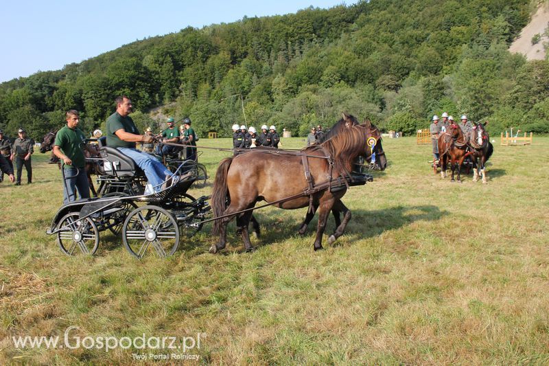 Pokazy konne i wręczenie nagród w Rudawce Rymanowskiej