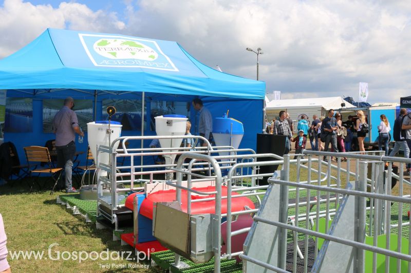 Terraexim-Agroimpex na AGRO-TECH Minikowo 2017