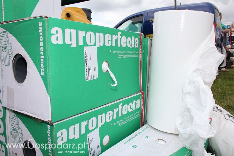 XVIII Regionalna Wystawa Zwierząt Hodowlanych w Szepietowie - niedziela