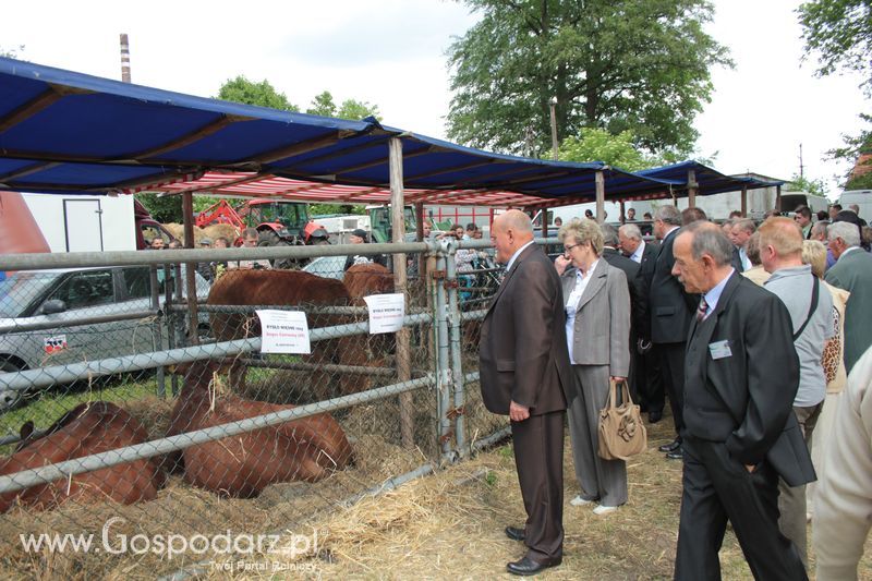  XX Targi Rolnicze Lubniewice