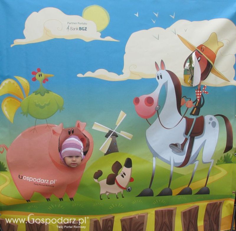 Zdjęcia ze świnką na Agro Show 2012 sobota