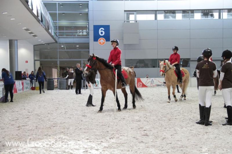 CAVALIADA 2013 w Poznaniu