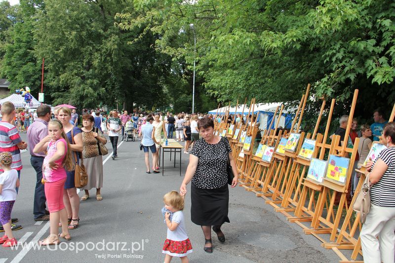 IV Ogólnopolski Festiwal Wieprzowiny - Koźmin Wlkp 2016