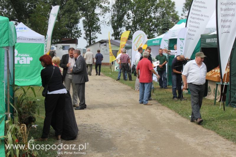 XIX Krajowe Dni Ziemniaka w Marszewie