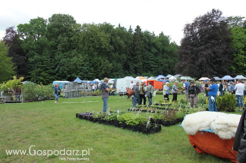 XX Targi Rolnicze Lubniewice 