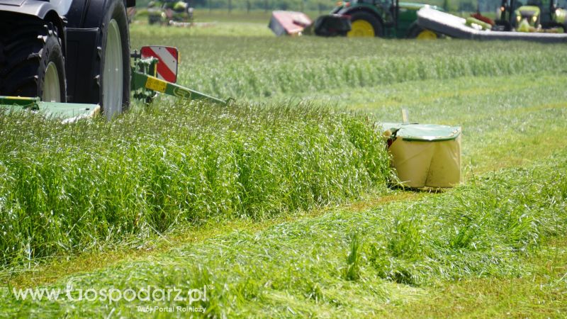 ZIELONE AGRO SHOW 2017 w Ułężu (niedziela, 28 maja)