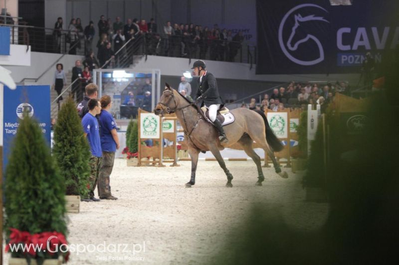 CAVALIADA 2013 w Poznaniu