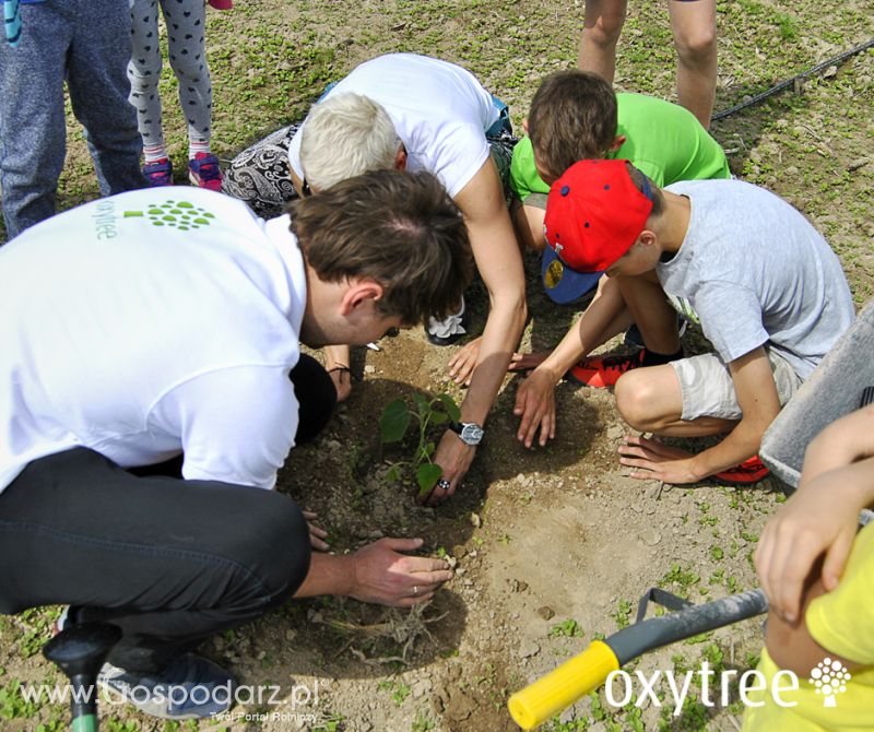 Fotorelacja z majowego Pokazowego Sadzenia Oxytree