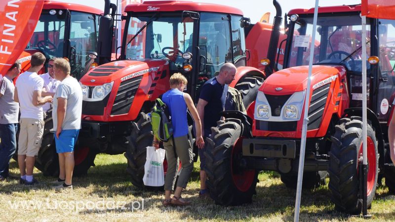 Zetor na ZIELONE AGRO SHOW w Ułężu 2017