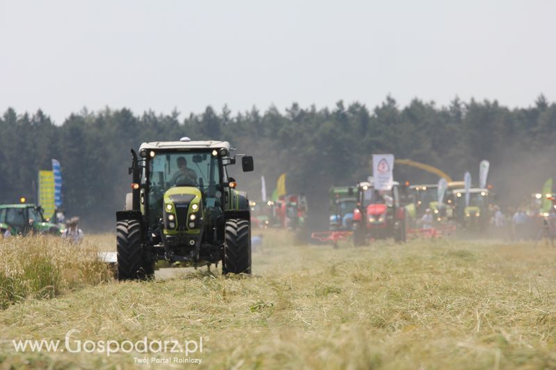 Pokazy polowe podczas targów OPOLAGRA 2015