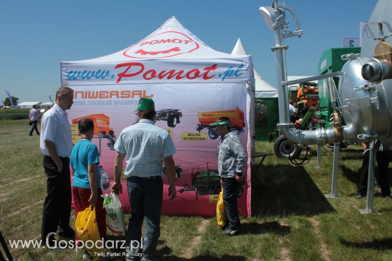 Polskie Zboża 2011 - Piątek 