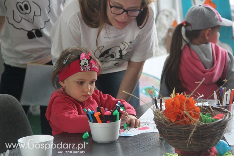 KWZH 2015 sobota