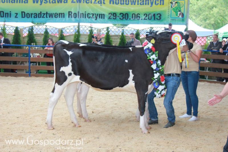 Regionalna Wystawa Zwierząt Hodowlanych i Dni z Doradztwem Rolniczym w Szepietowie-niedziela