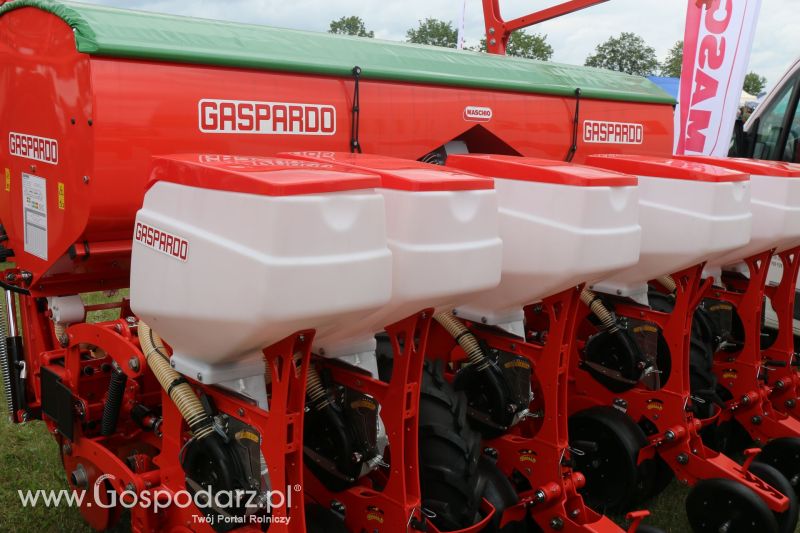 Maschio Gaspardo na AGRO-TECH Minikowo 2017