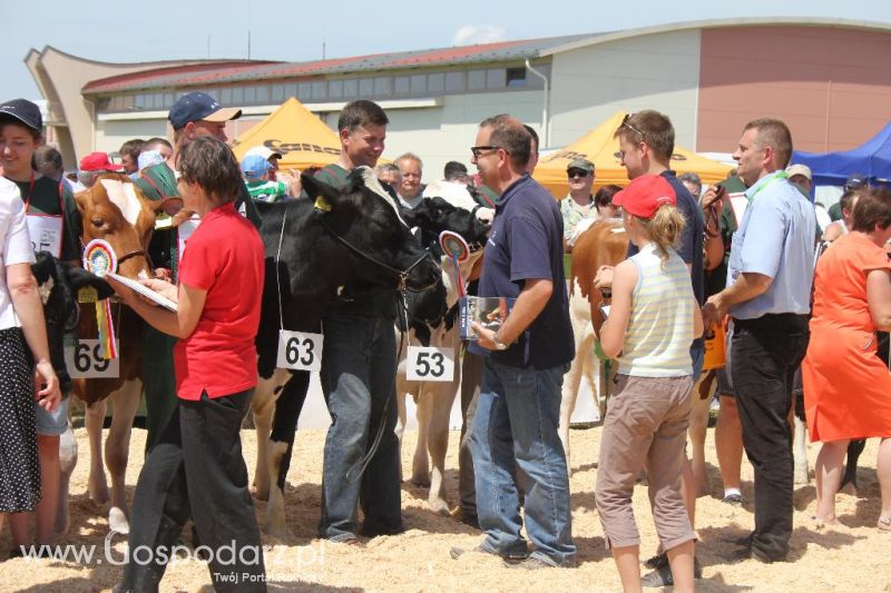 Opolagra 2013 cz.2