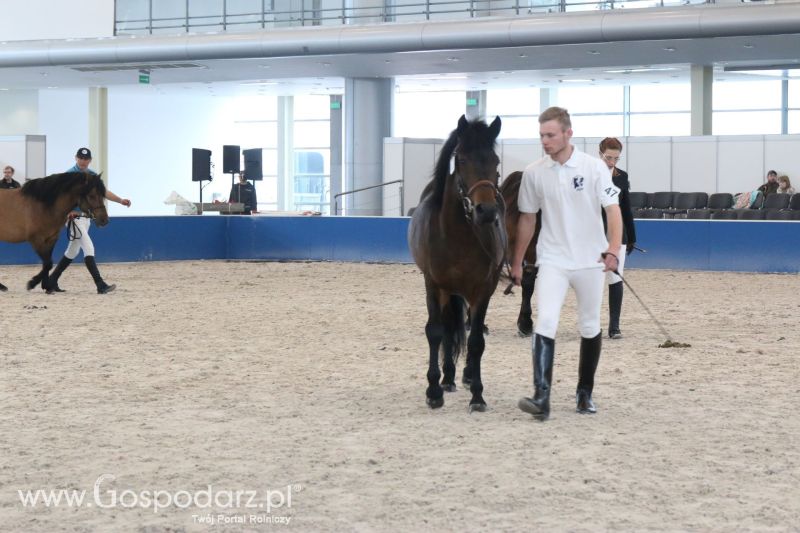 Krajowa Wystawa Zwierząt Hodowlanych w Poznaniu 2017 (niedziela, 7 maja)