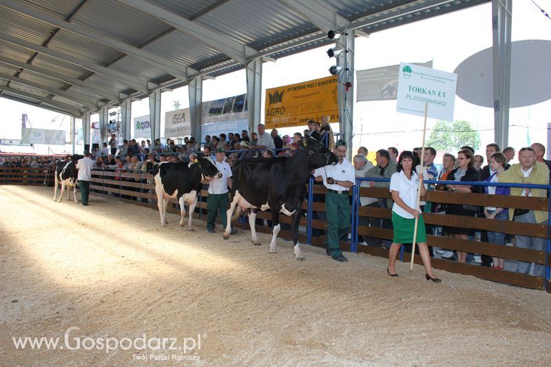 Wręczenie nagród na XVIII Regionalnej Wystawie Zwierząt Hodowlanych w Szepietowie