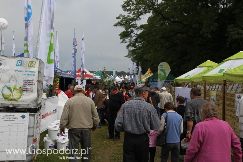 VIII Ogólnopolska Wystawa Bydła Hodowlanego, XXI Regionalna Wystawa Zwierząt Hodowlanych i Dni z Doradztwem Rolniczym w Szepietowie