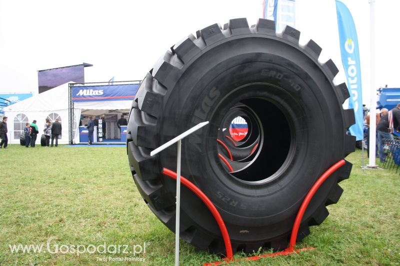 AGRO SHOW BEDNARY 2017 (Niedziela)