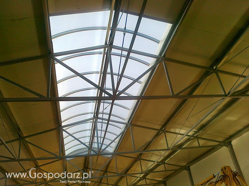 Stef-Bud - Świetliki, Pasma świetlne