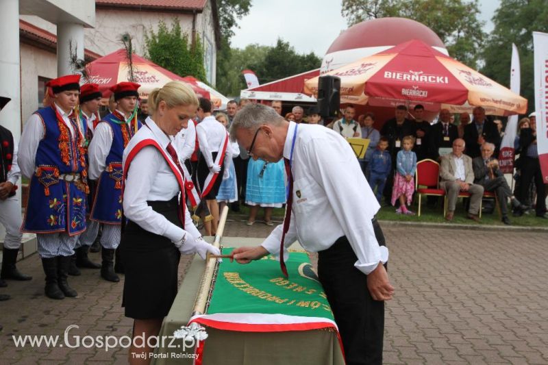 I Krajowa Wystawa Bydła Mięsnego w Sielinku - sobota