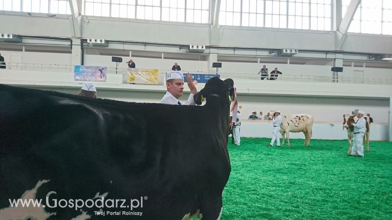 Narodowa Wystawa Zwierząt Hodowlanych 2019