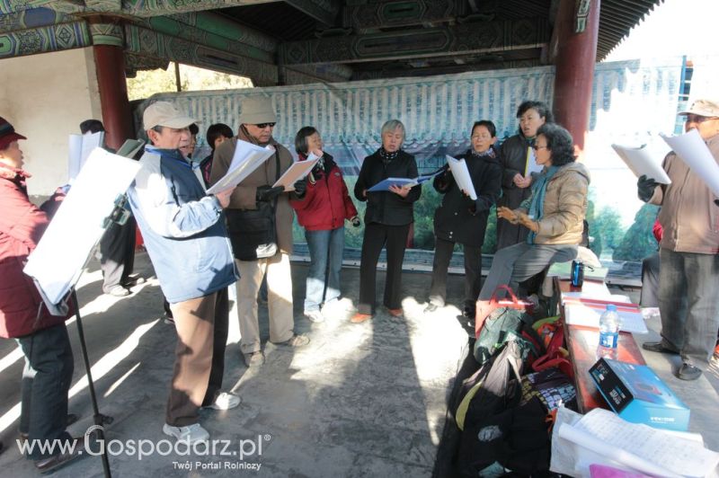 Gospodarz.pl w Chinach