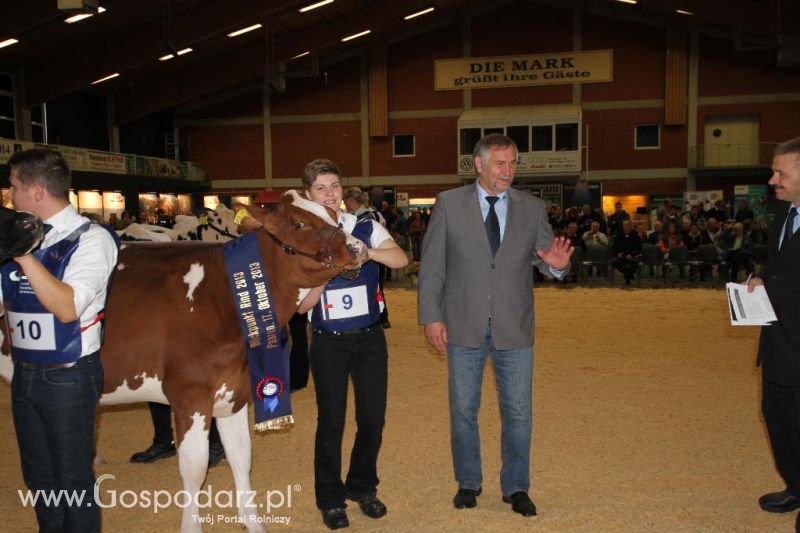Wystawa  Blickpunkt Rind 2013 w miejscowości Paaren/Glien (Niemcy)