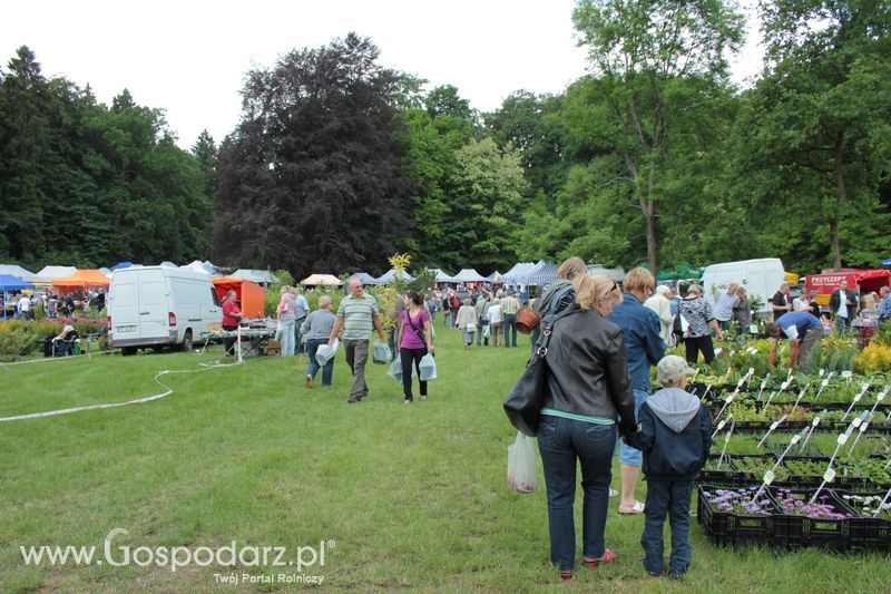 XX Targi Rolnicze Lubniewice 