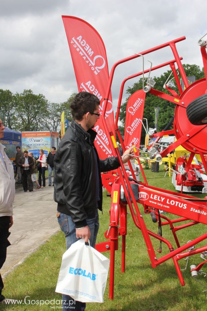 VII Ogólnopolska Wystawa Bydła Hodowlanego - Sielinko 2012