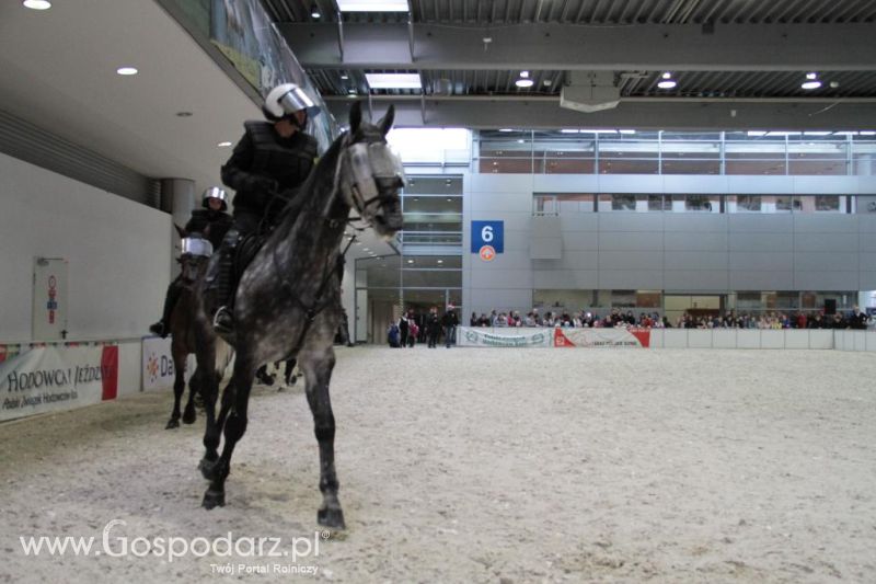 CAVALIADA 2013 w Poznaniu