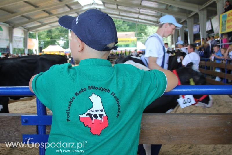Regionalna Wystawa Zwierząt Hodowlanych i Dni z Doradztwem Rolniczym w Szepietowie-sobota