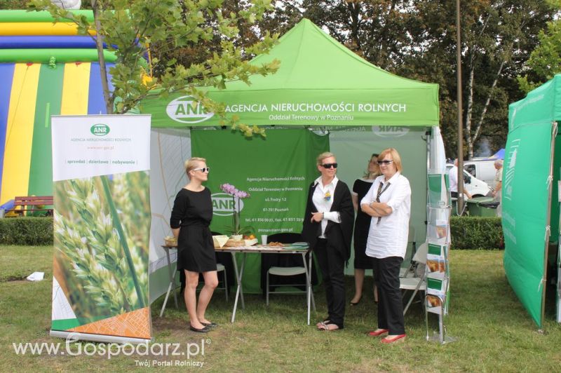 XIV Wojewódzko-Diecezjalne Dożynki Wielkopolskie w Ostrowie Wielkopolskim