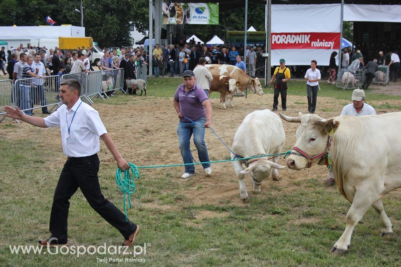 Wręczenie nagród na XVIII Regionalnej Wystawie Zwierząt Hodowlanych w Szepietowie