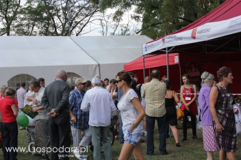 II Festiwal Wieprzowiny w Wąbrzeźnie