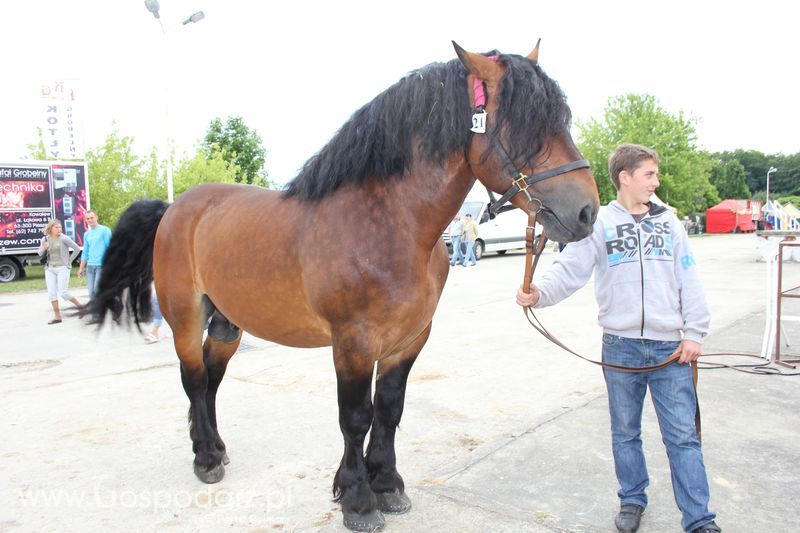 Wielkopolskie Targi Rolnicze „Sielinko 2011”  - Sobota