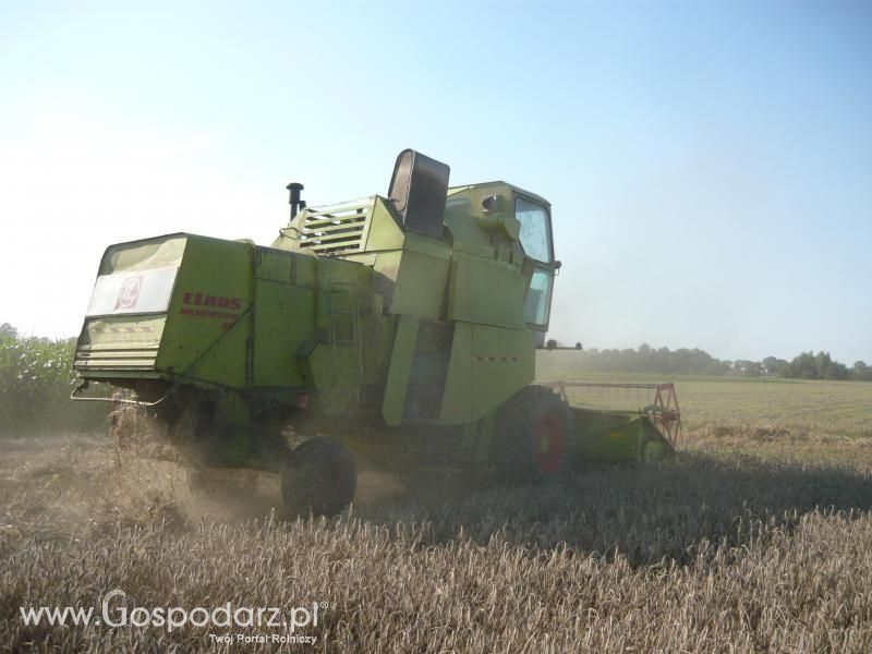 Żniwa 2011