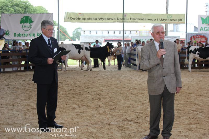 Bydło - Szepietowo 2012 XIX Regionalna Wystawa Zwierząt Hodowlanych