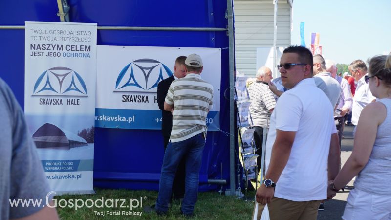 Skavska Hale na ZIELONE AGRO SHOW w Ułężu 2017