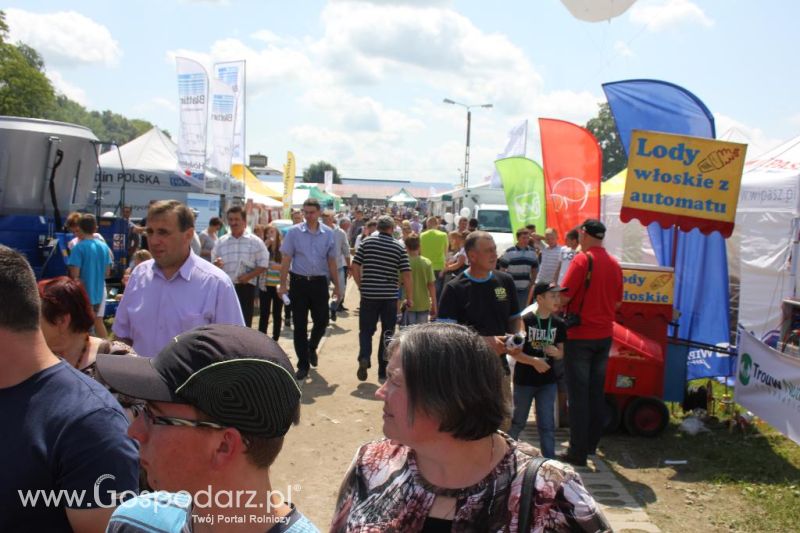 Regionalna Wystawa Zwierząt Hodowlanych i Dni z Doradztwem Rolniczym w Szepietowie-sobota