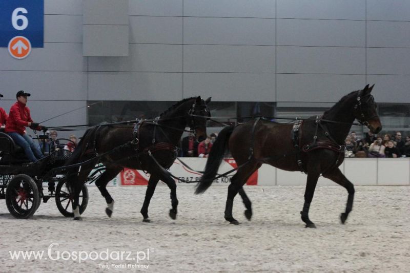 CAVALIADA 2013 w Poznaniu