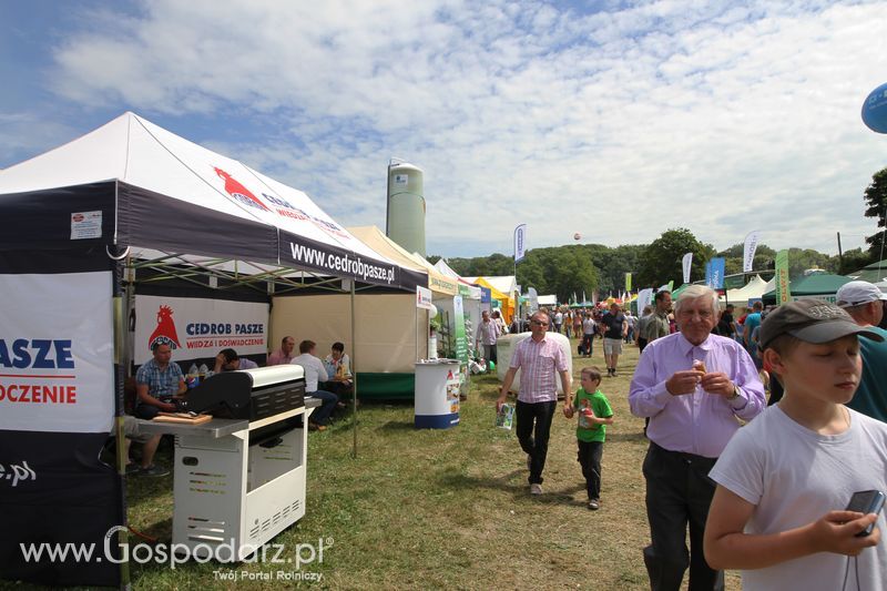 Targi rolne w Szepietowie (27-28.06.2015)