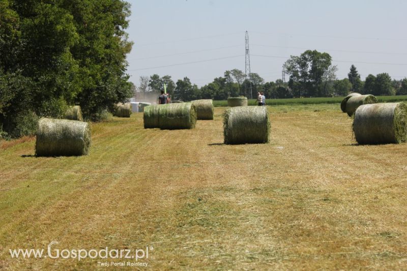 Zielone AGRO SHOW – POLSKIE ZBOŻA 2014 w Sielinku - sobota