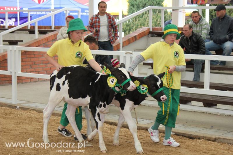 Mali Hodowcy VII Ogólnopolska Wystawa Bydła Hodowlanego w Sielinku 2012